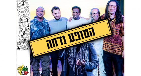 אדיס בבל גרוב